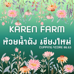 กาแฟดริป ห้วยน้ำดัง เชียงใหม่