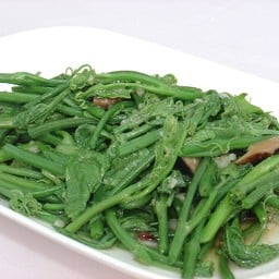 ยอดมะระผัดเห็ดหอม/Fried Chayote with Chinese Mushroom