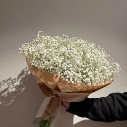 ช่อยิปโซ(G5)