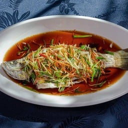 ปลากระพงนึ่งซีอิ้ว/Steamed Seabass with Soy Sauce/清蒸鲈鱼