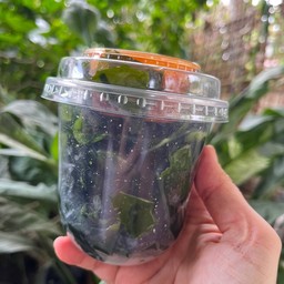 สาหร่ายวากาเมะ+น้ำจิ้มคีโต