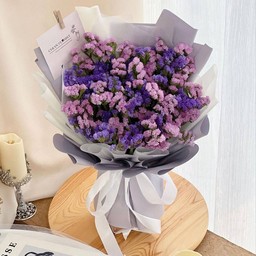 ช่อสเตรติส(T4)