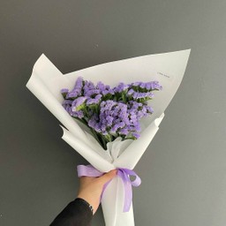 ช่อสเตรติส(T3)