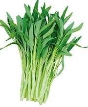 ผักบุ้ง