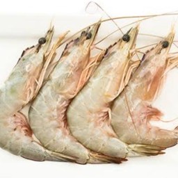 ท็อปปิ้ง กุ้งขาว