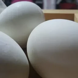 ไข่เค็ม