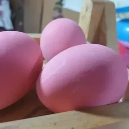 ไข่เยี่ยวม้า