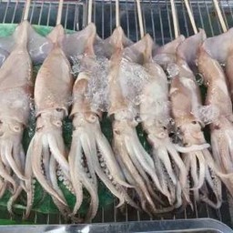 ปลาหมึกกล้วยย่าง
