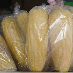 ข้าวโพดต้ม