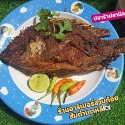 ส้มปลาร้าปลานิล