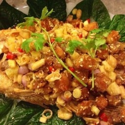 ปลาทับทิมสมุนไพร