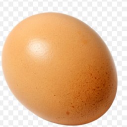 ไข่ไก่  ท็อปปิ้ง