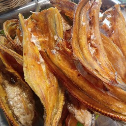 ปลาจิ๊งโก๋