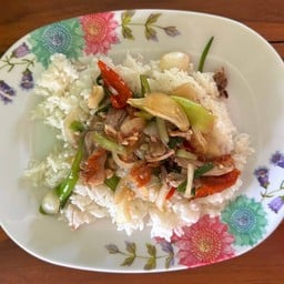 เป็ดย่างผัดพริกอ่อนราดข้าว