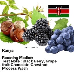 🇰🇪 Kenya AA FAQ / Medium Roast ( คั่วกลาง ) / Washed