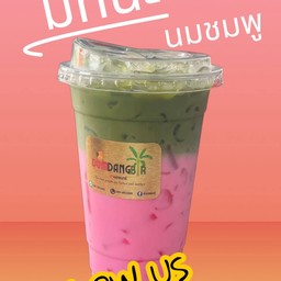 มัทฉะนมสดชมพู