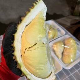 ผลไม้ตามฤดูกาล