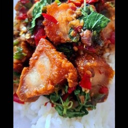 ข้าว กระเพราหมูกรอบ