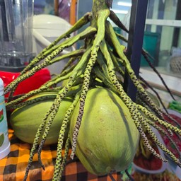 น้ำมะพร้าวเย็น