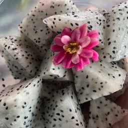 TONKHAW  FRUIT