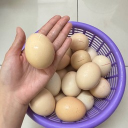 ไข่ข้าว