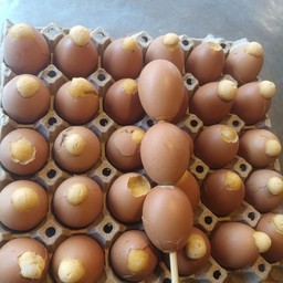 ไข่ทรงเครื่องเป็นไม้