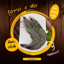 กุ้งขาว