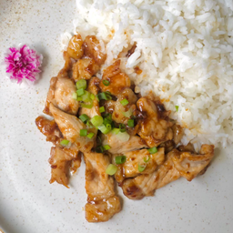 ข้าวทอดกระเทียม / Fired meat with Garlic