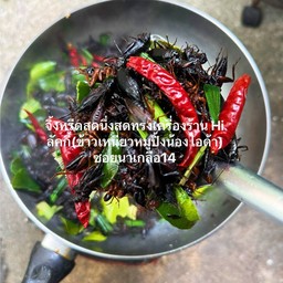 จิ้งหรีดสดนึ่งเตาถ่านทรงเครื่อง