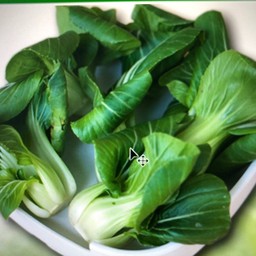 เบบี้ฮ่องเต้