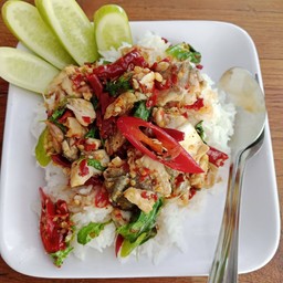 ผัดฉ่าปลากระพงราดข้าว