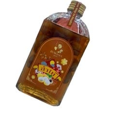 น้ำลำไย 龙眼 longgan