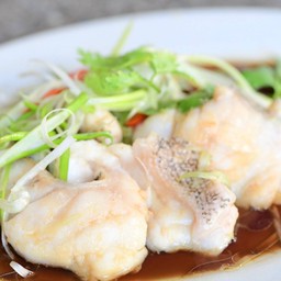 ปลาเก๋านึ่งซีอิ๊ว