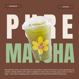 Pure Matcha