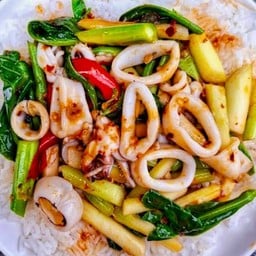 ผัดคะน้าปลาหมึกราดข้าว