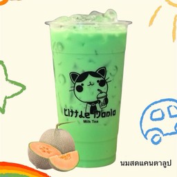 นมสดแคนตาลูป LM