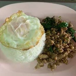 ข้าวราดผัดกะเพราหมูสับ