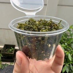 สาหร่ายเกาหลีโรยข้าว อร่อยยยย