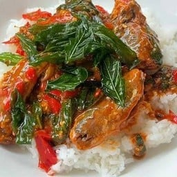 กระเพราปลากระป๋อง ราดข้าว