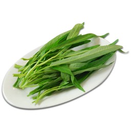 ผักบุ้ง