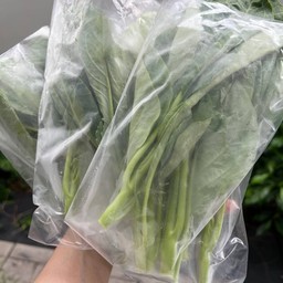 ยอดคะน้าแกล้ม