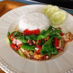คะน้าหมูกรอบ ราดข้าว