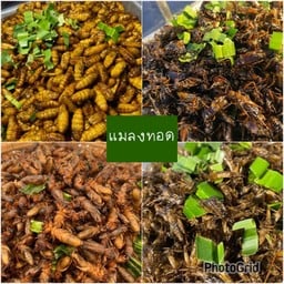 แมลงทอด