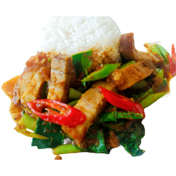 ผัดเผ็ดราดข้าว