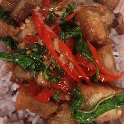 ข้าวราดผัดกะเพราหมูกรอบ