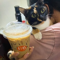 Jarbby Latte (Dark chocolate cookie Latte)