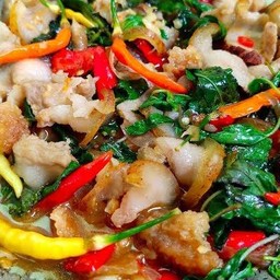 กระเพราหมูป่า ราดข้าว