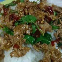 น้องกระเพรา (ร่มเกล้า44)