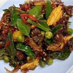 ผัดเผ็ด,ผัดฉ่า กบ (ทอด,สด)