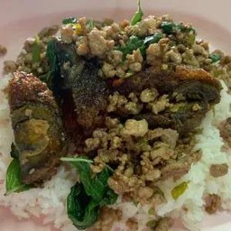 ข้าวราดกะเพราไข่เยี่ยวม้า